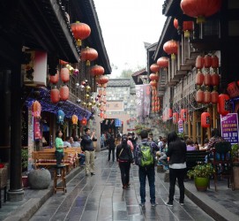 雅安成都自助游(成都自助游住哪里方便)