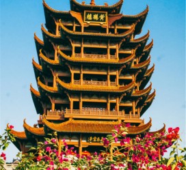 雅安武汉游玩攻略(武汉游玩攻略路线)