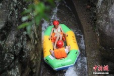 雅安伴游中国三亚(三亚结伴旅游网)