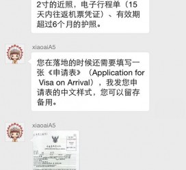 雅安国外伴游软件进中国的(国内高端伴游哪个app好)