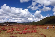 雅安旅游去处(暑期最好的旅游去处)