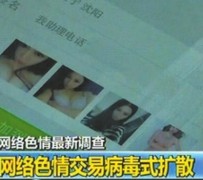 雅安上海伴游 伴游女郎白天陪玩晚上陪睡 网络跑火日薪过万(图)