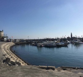 雅安大连旅游攻略(大连旅游攻略自由行)