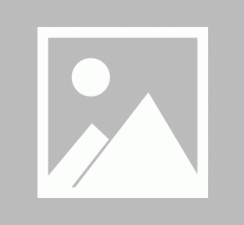 雅安私人伴游 黄金周里动“黄”经 天津又现“私人陪游”逆流