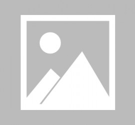 雅安辽宁伴游雇用信息(辽宁伴游雇用信息最新)