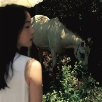 雅安私家伴游让你拥有一次完美的旅游体验